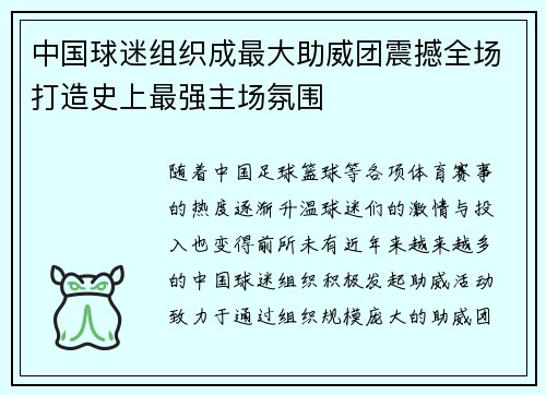 中国球迷组织成最大助威团震撼全场打造史上最强主场氛围